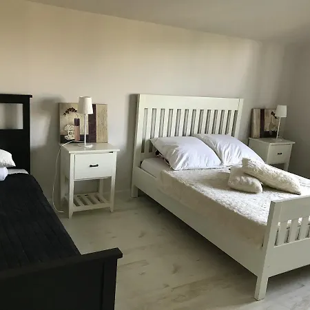 Sedula * Palanga